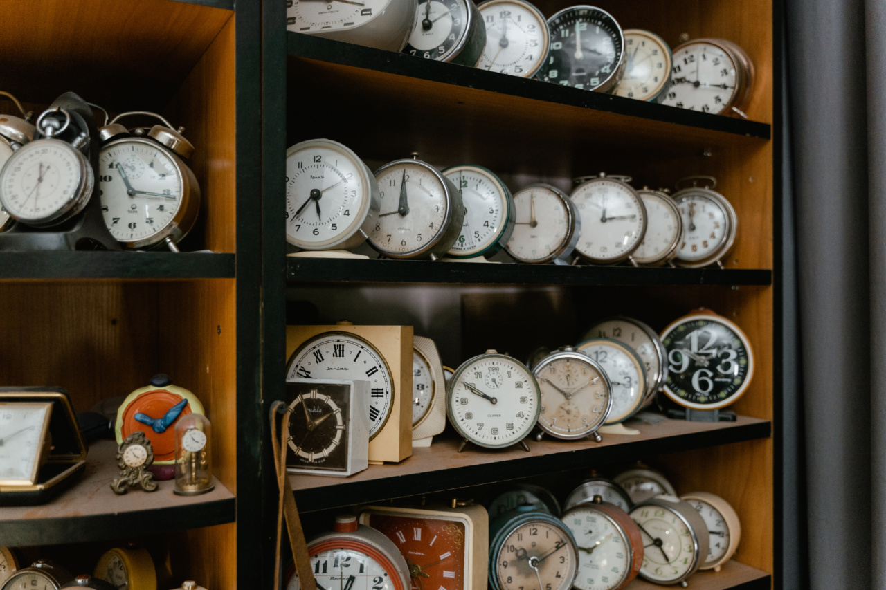 Double Time: The Dual Clocks of Our Well-Tuned Brain