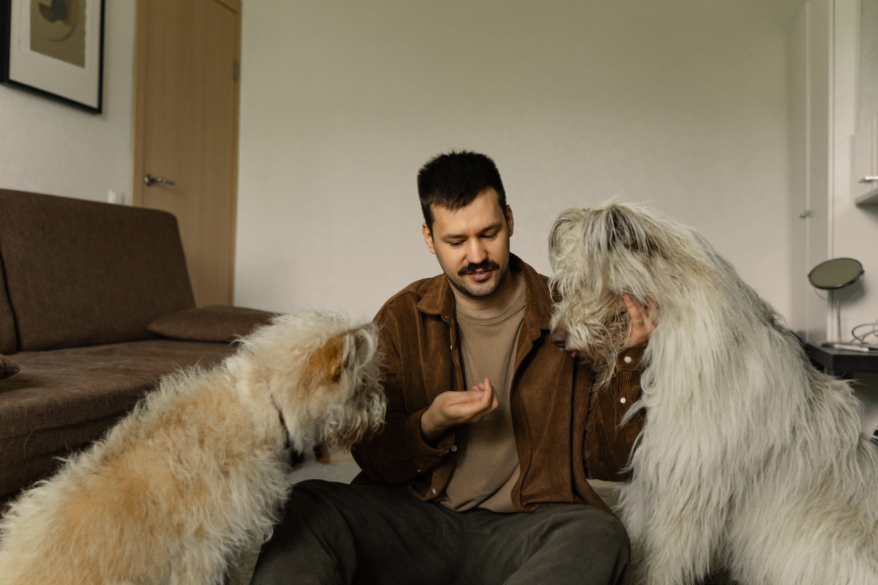 Dangers of feeding raw bones to dogs