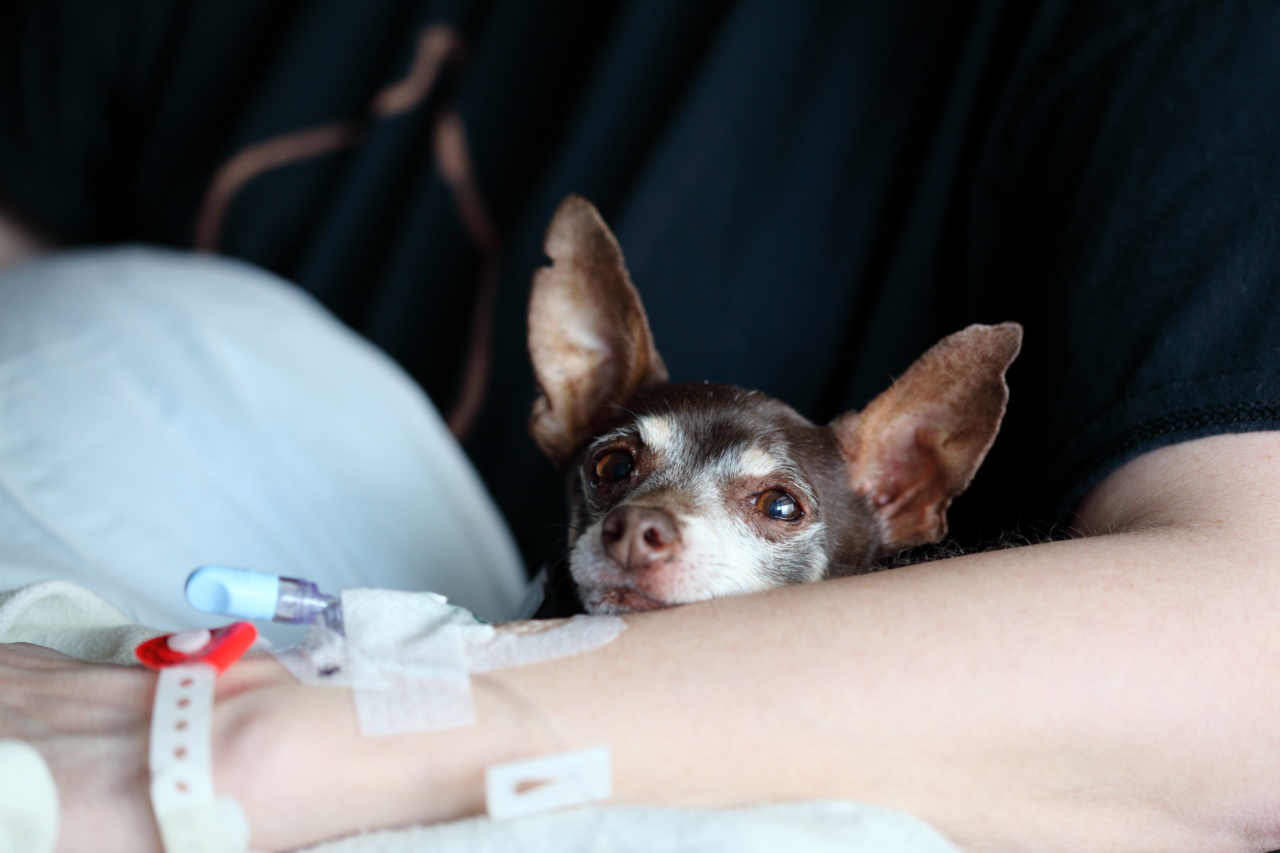 Homemade treatments for tired-looking eyes