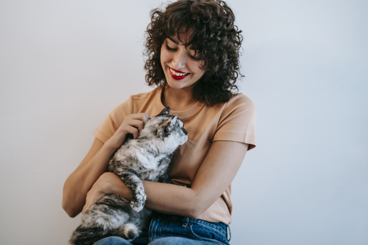 Creating a Happy Space for Your Cat