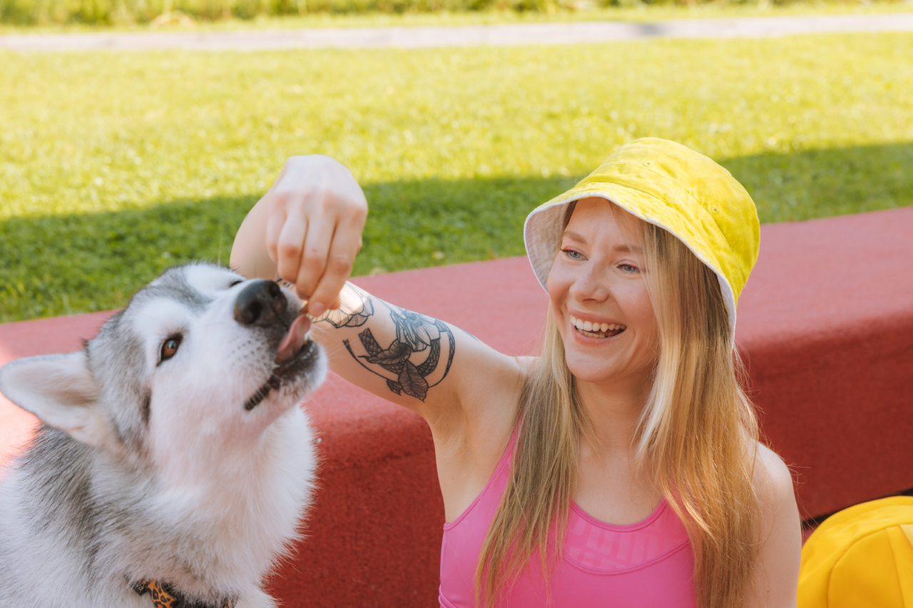 The Problems with Feeding Your Dog by Hand