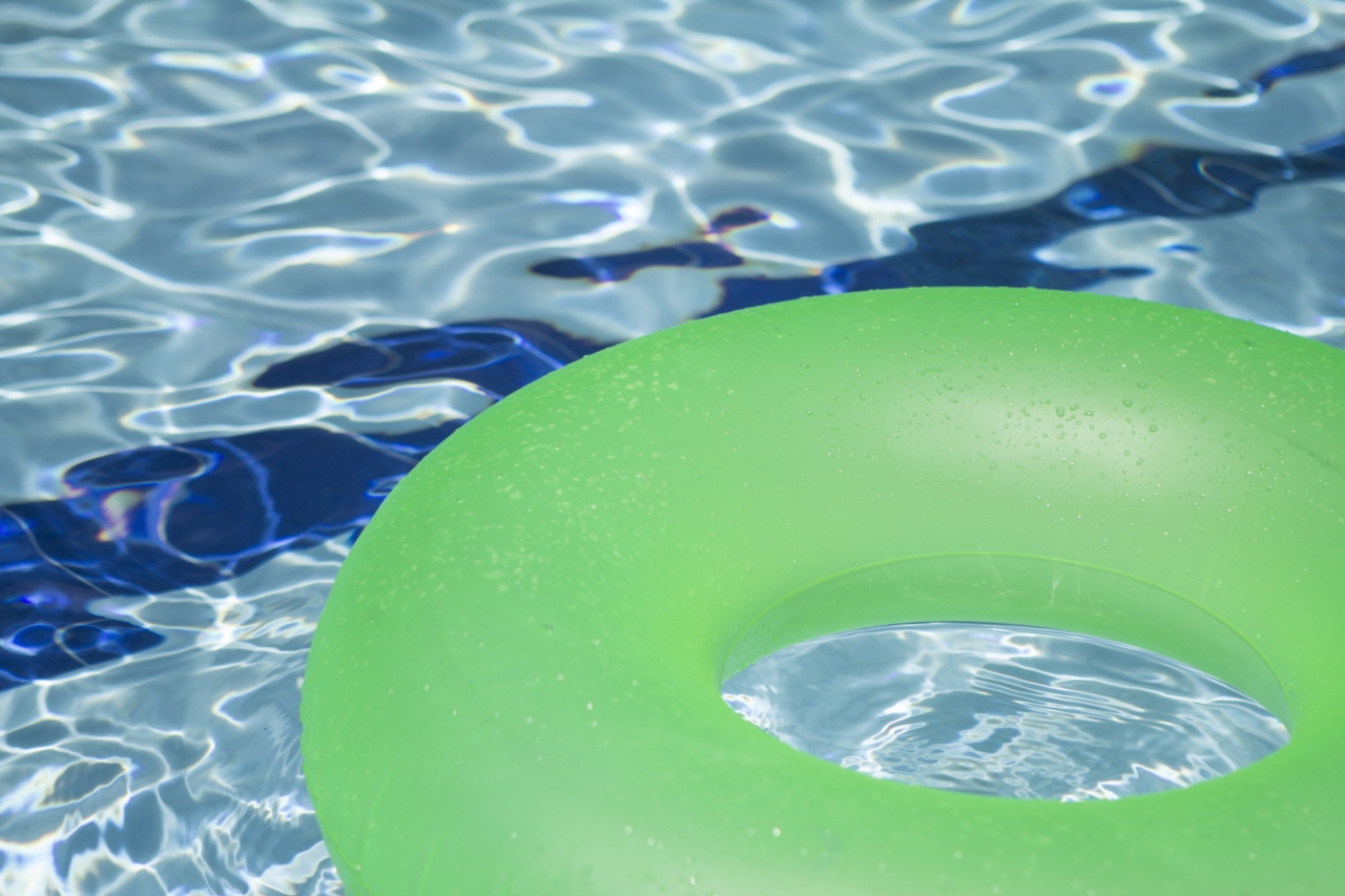 Preparing for a doggie swim day: A comprehensive guide