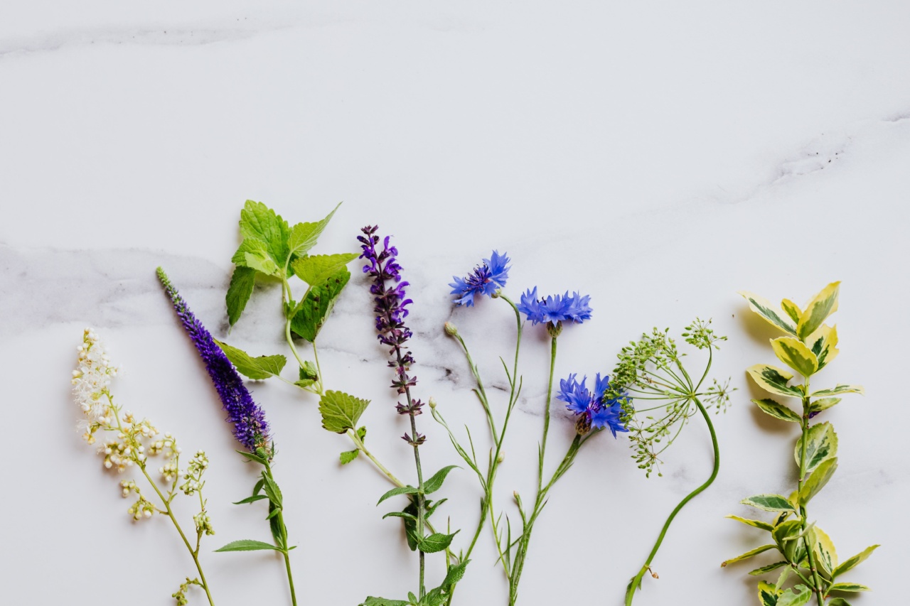 10 Herbs with Medicinal Properties