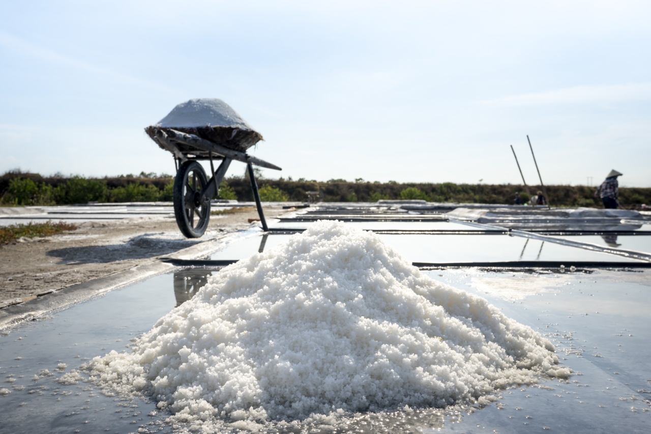 Lower Sodium Salt for Seniors
