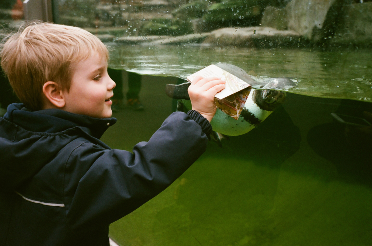 Why Seal Molars in Children Early?