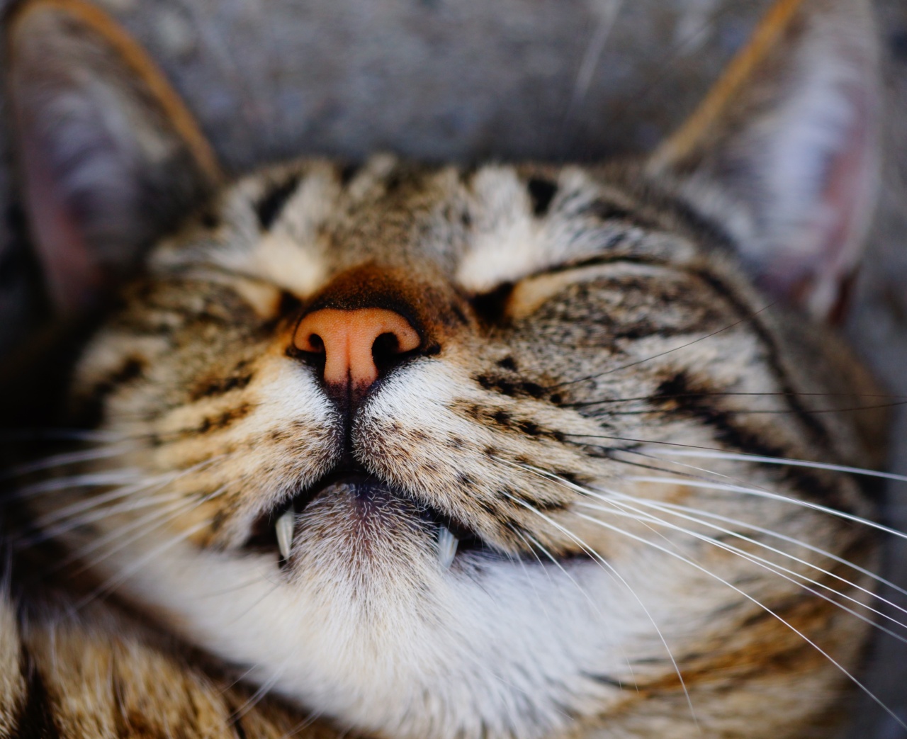 Identifying Eye Diseases that Impact Sleep Quality