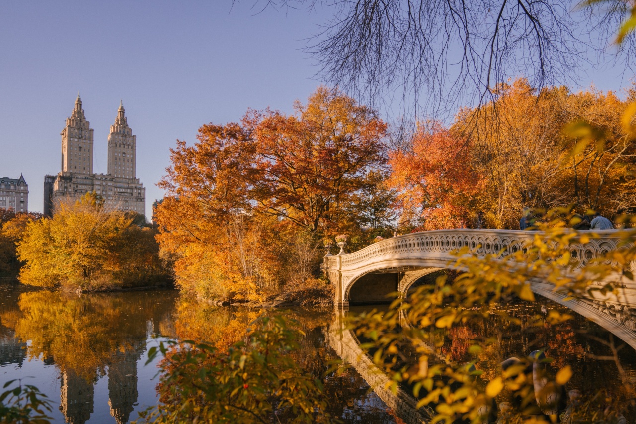How living in an urban environment can age us