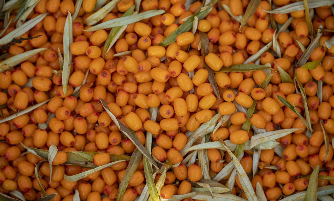 Nutritious Soups with Medicinal Properties