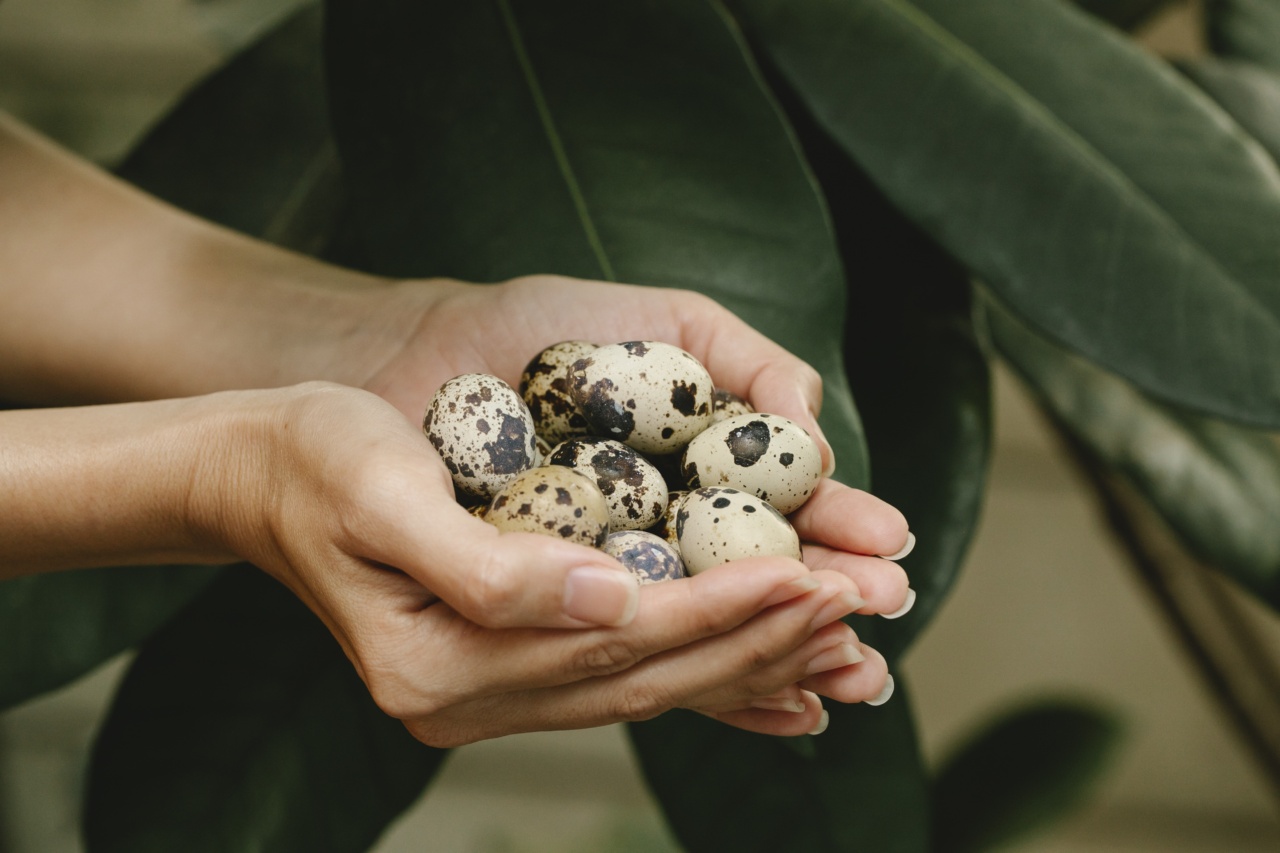 Studies show plant-based diet can lead to weaker bones in women