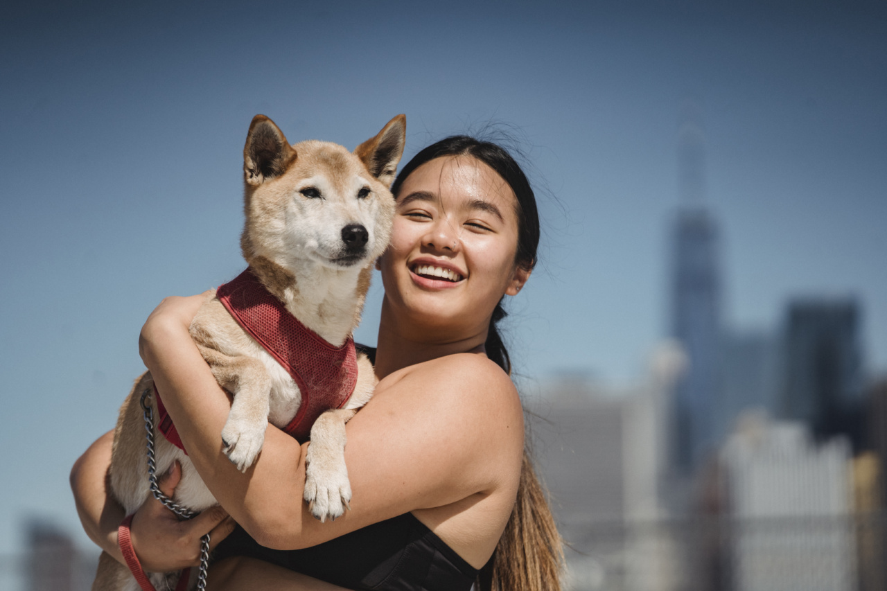 5 ways to ensure your dog has a positive experience at a small animal hotel