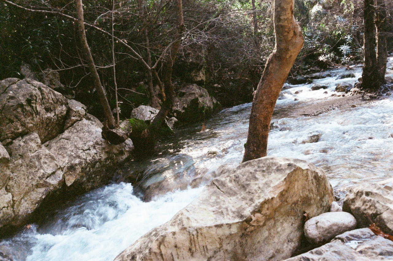 Recognizing Waterfall in Its Early Stages