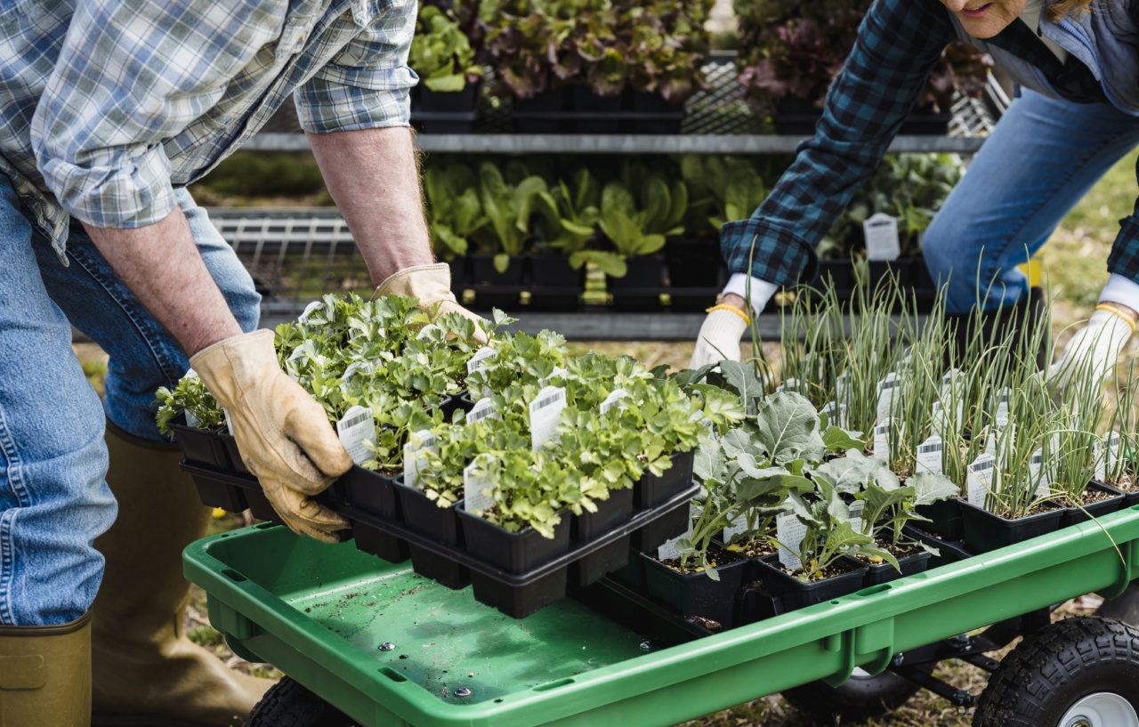 What Produce Contains the Highest Levels of Pesticides?