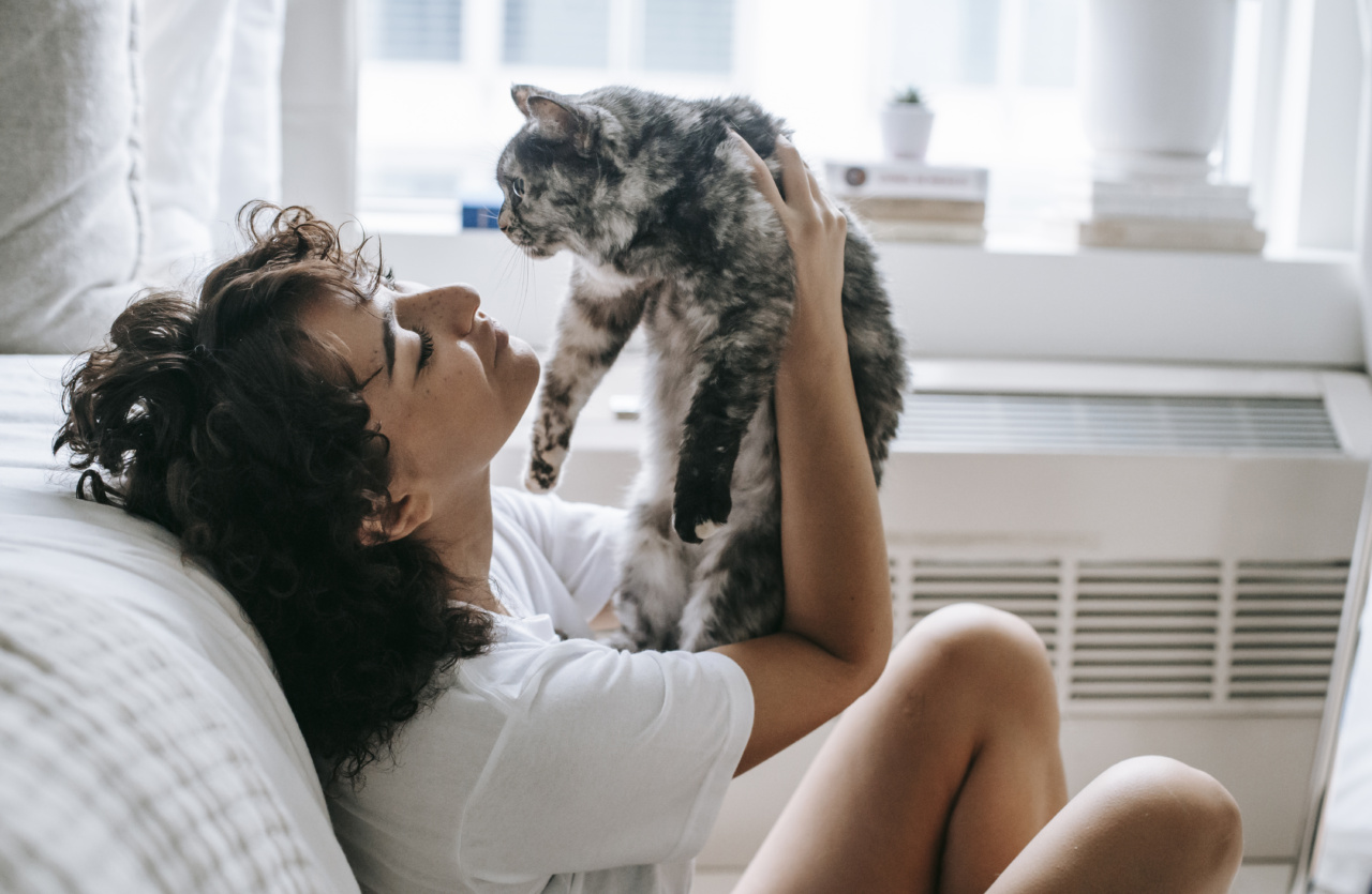 Handy cat lends a paw to locked-out owner