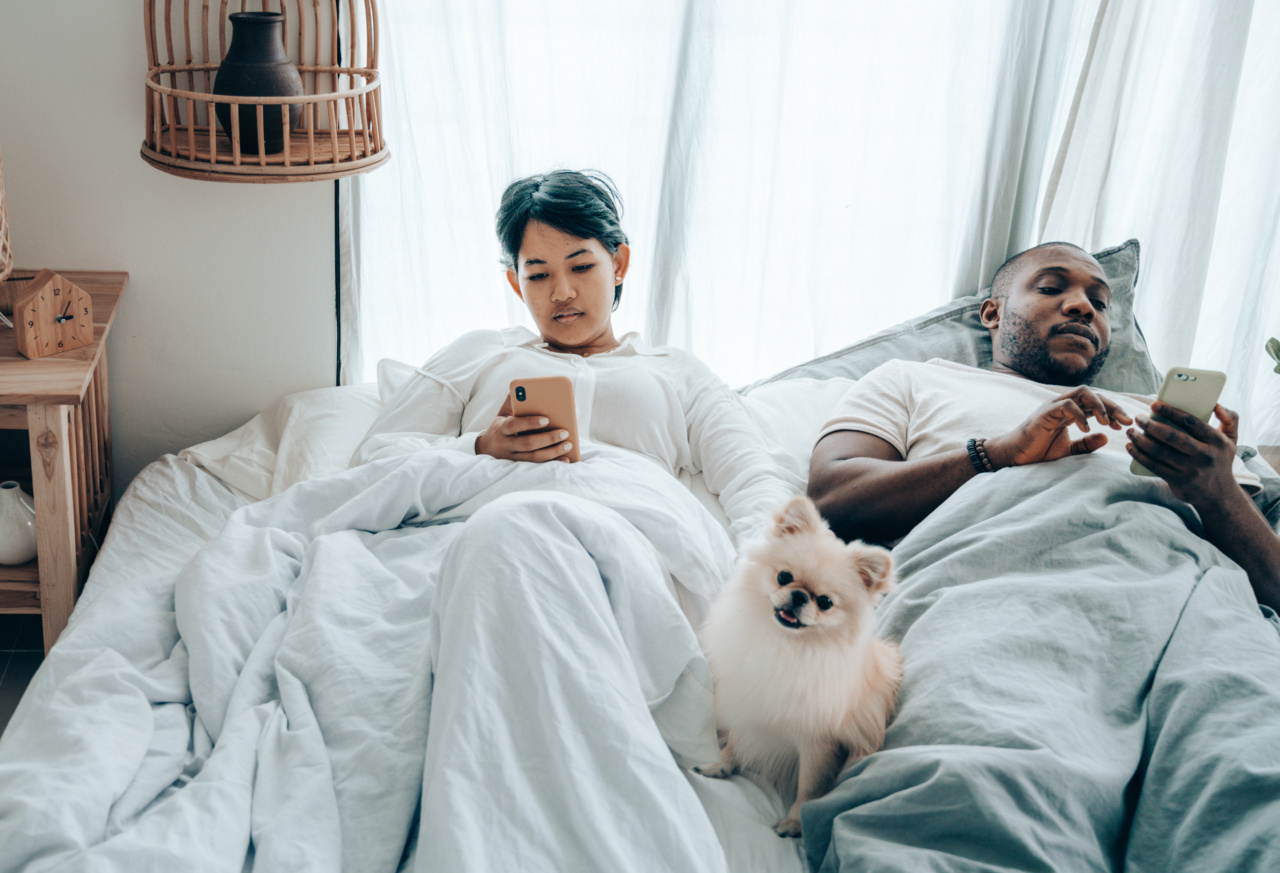 Dog Socialization: Tips for Calming Your Dog Around Other Dogs
