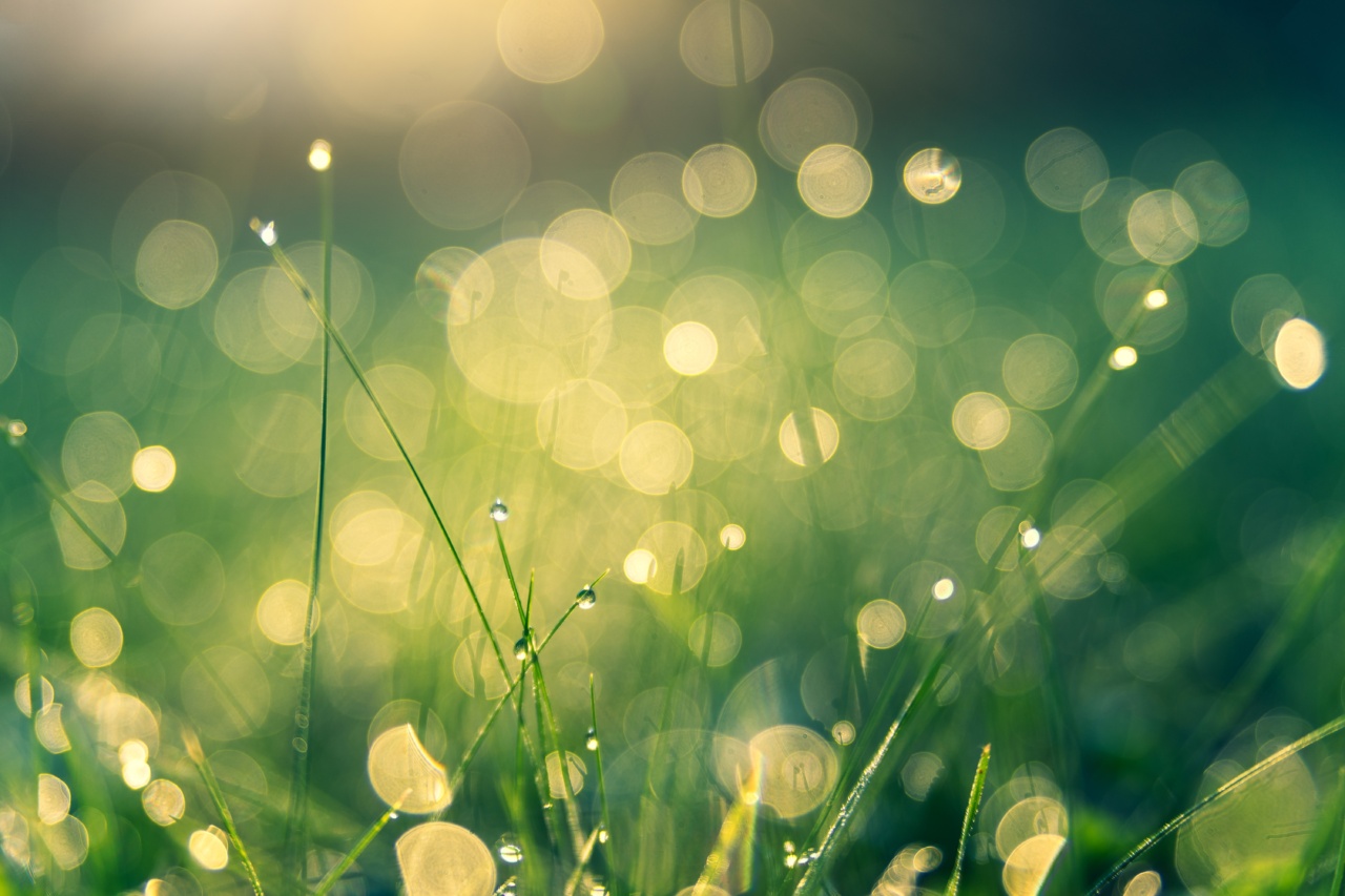This summer the sun is shining bright … #sunfilos!