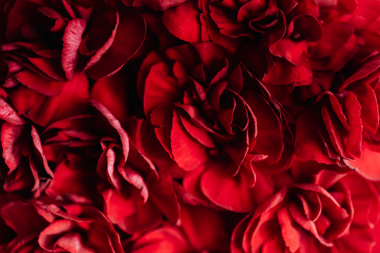 The Scarlet Expectation: Red and Pregnancy