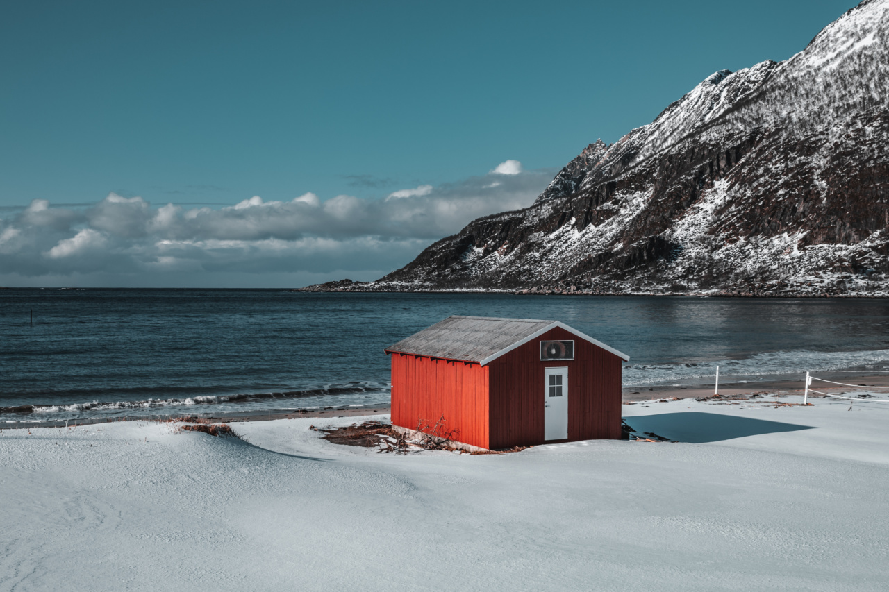 Winter Survival: How to Keep Cold at Bay