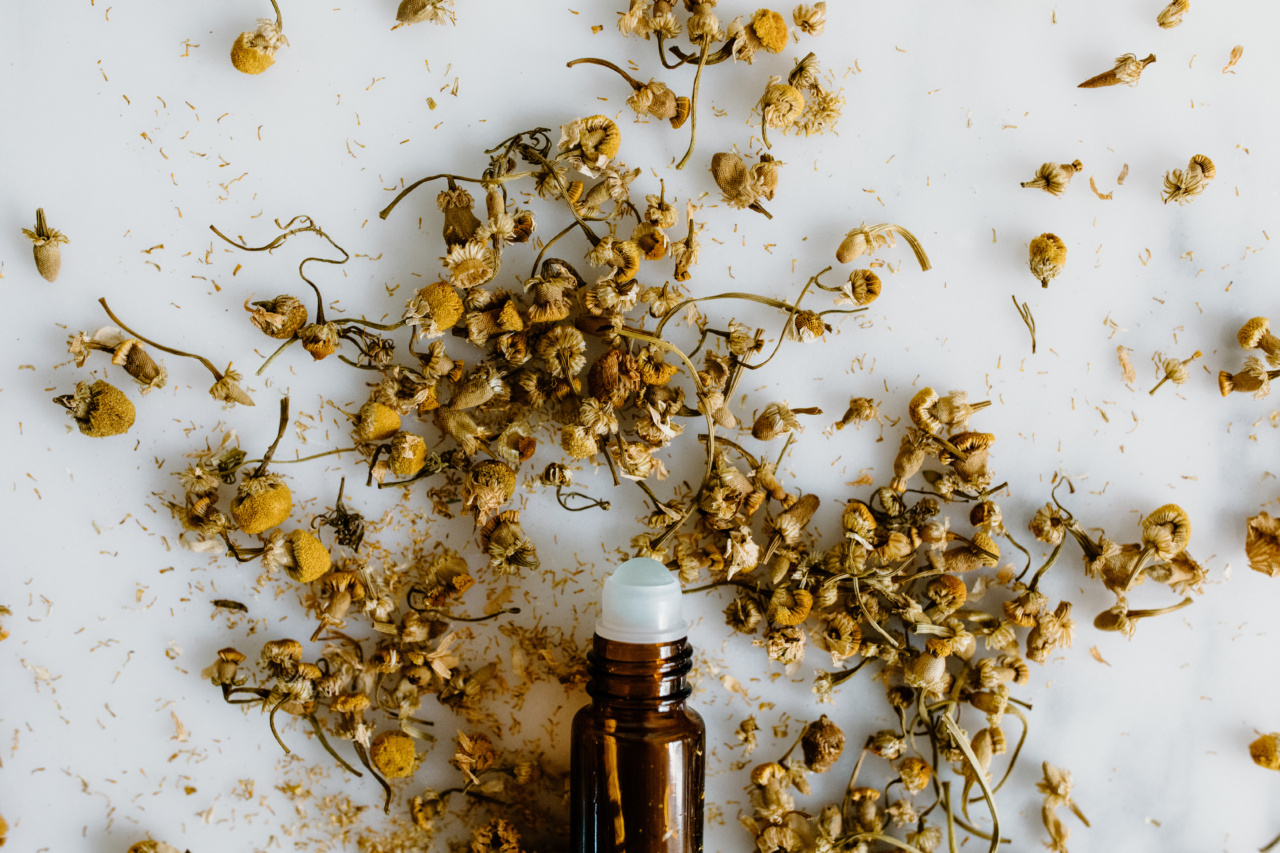 Nature’s Pathfinder: Anti-Inflammatory and Anti-Oxidant Herb