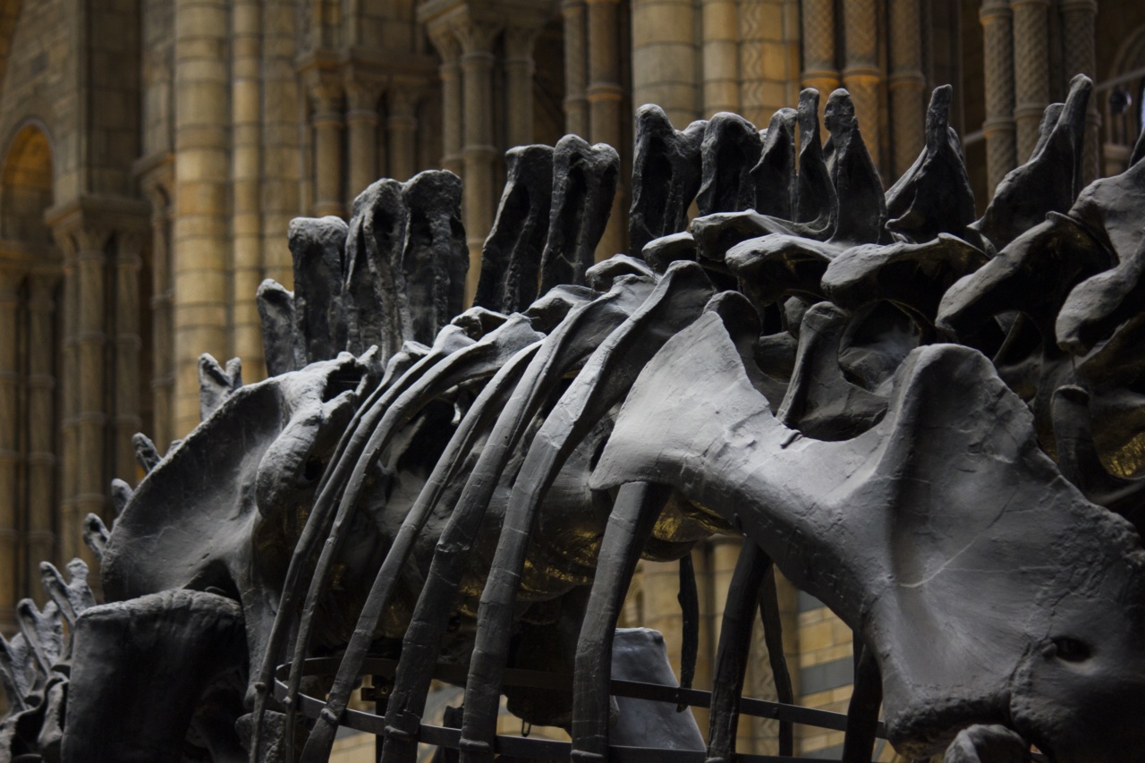 The Ultimate Bone Building Blend