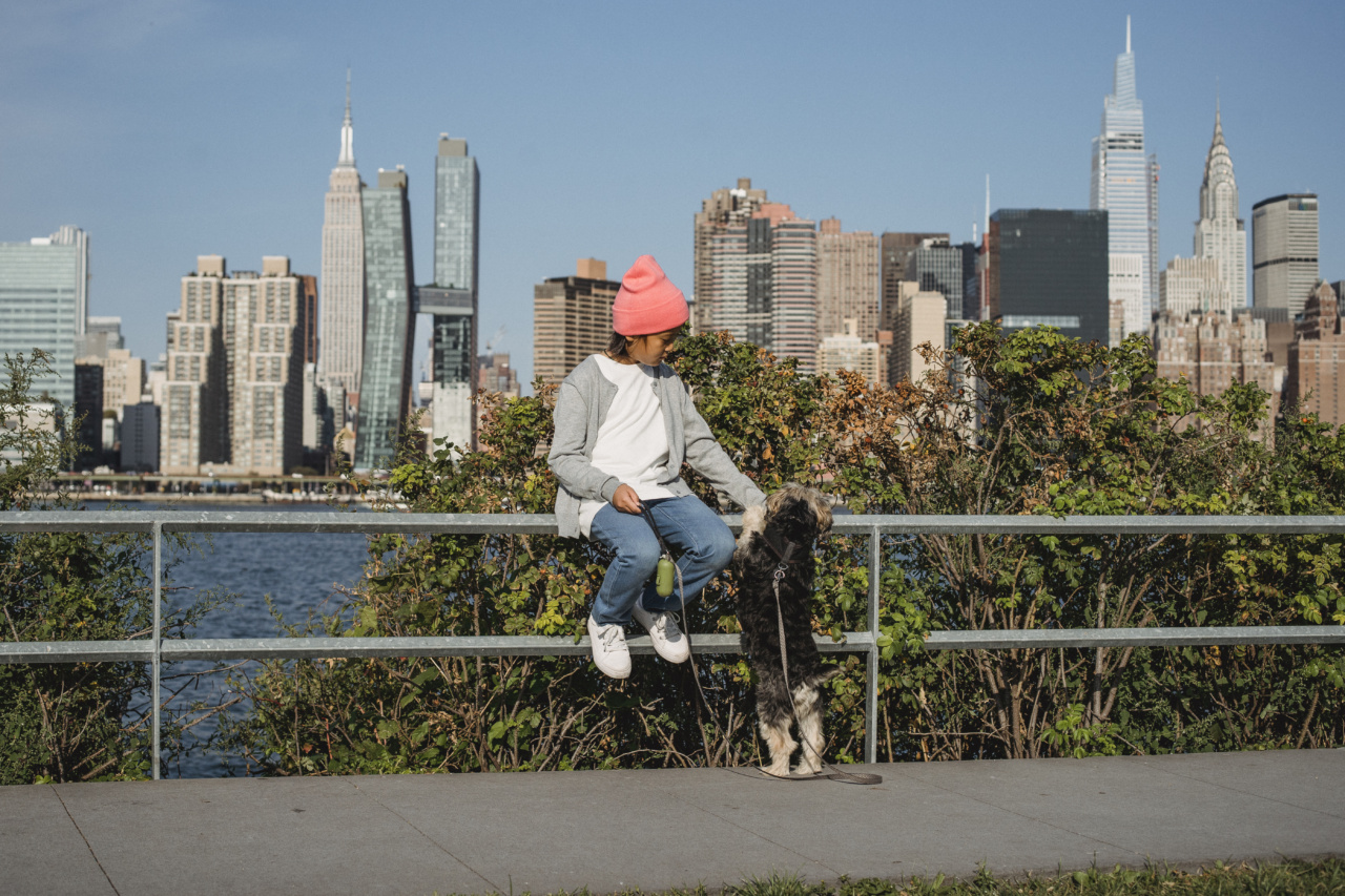 Child and Dog: Tips for Building a Strong Friendship