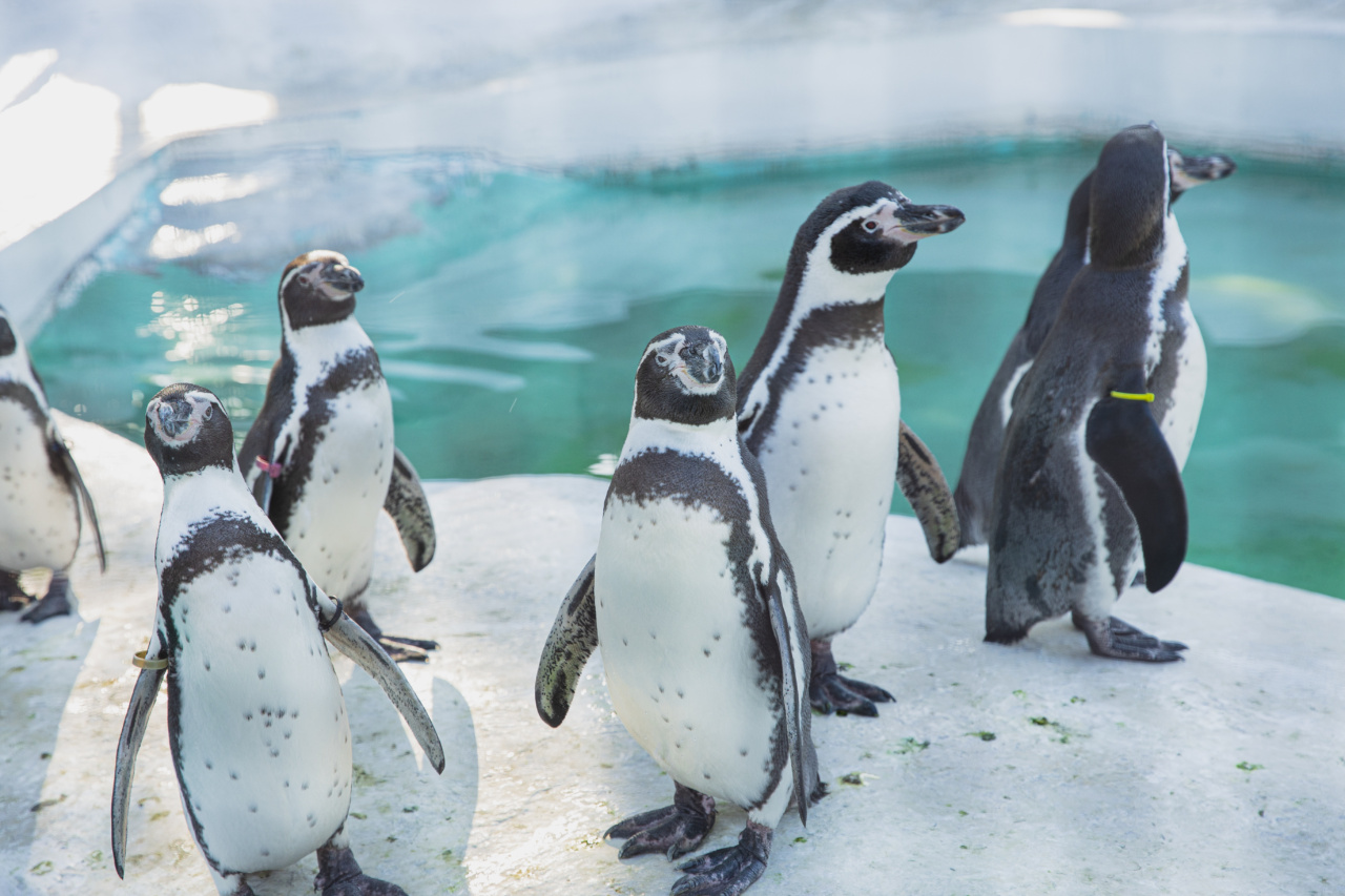 Why seawater can be effective against cold viruses