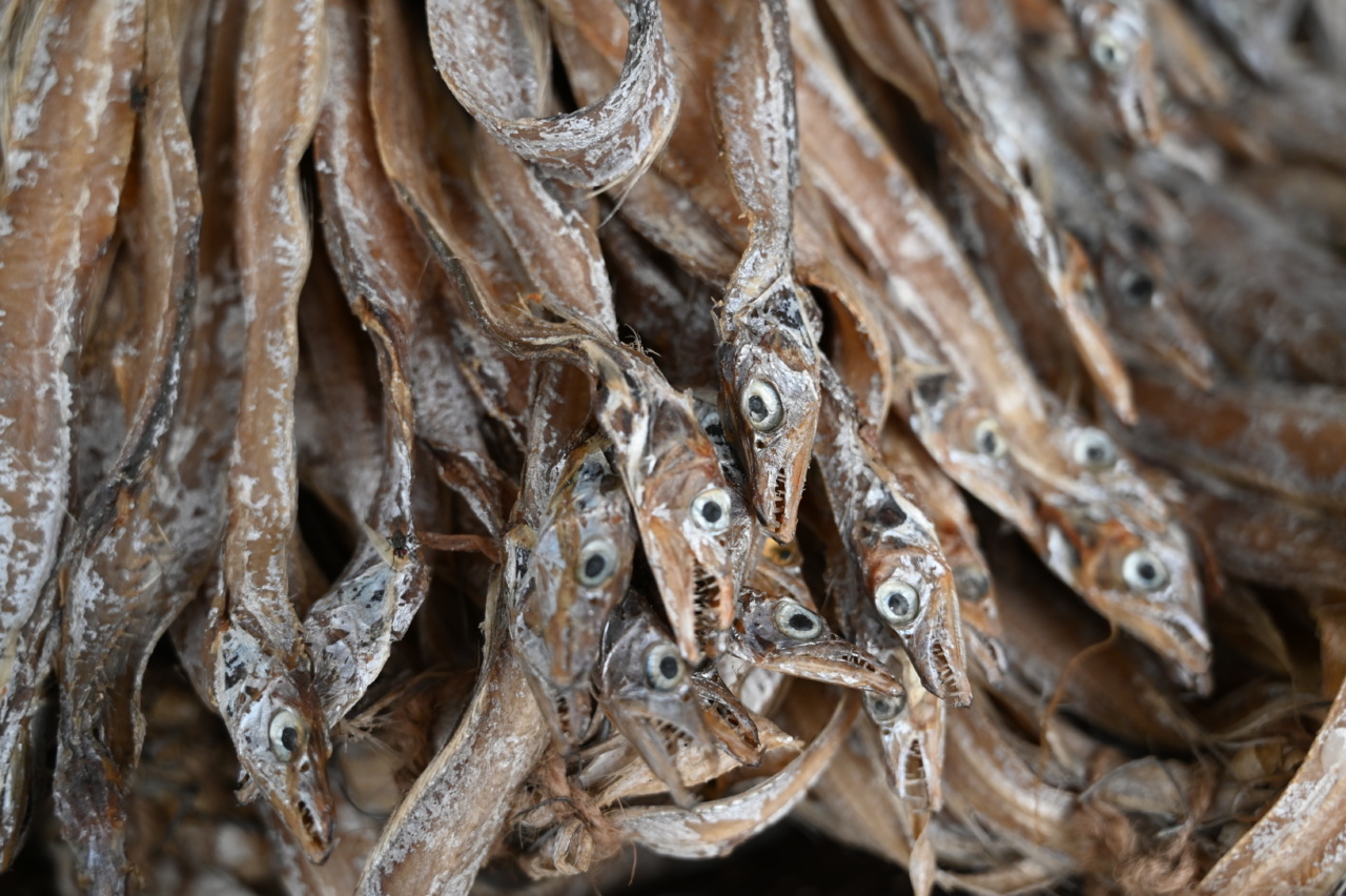 Fatty fish like salmon and sardines boost brain function, says research