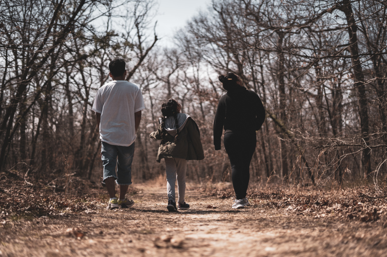 The Path to Reversing Male Infertility Risk in Childhood