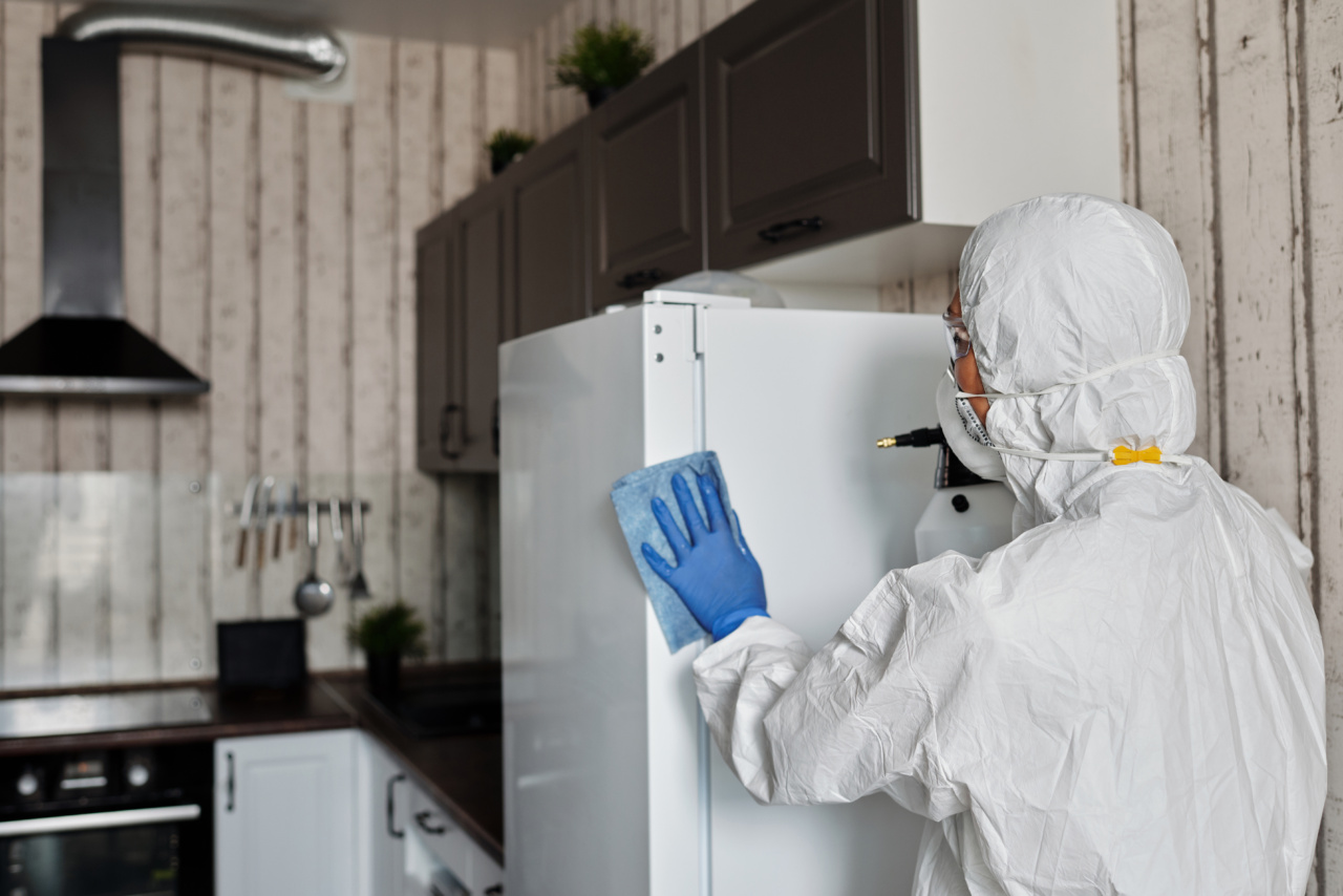 Cleanliness obsession could be breeding resistant bacteria