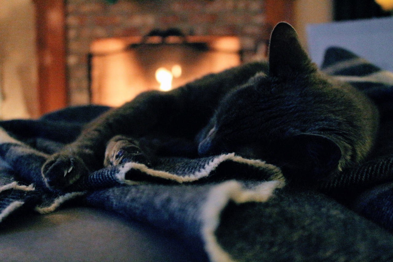 Saving Furry Lives in Penteli’s Fire