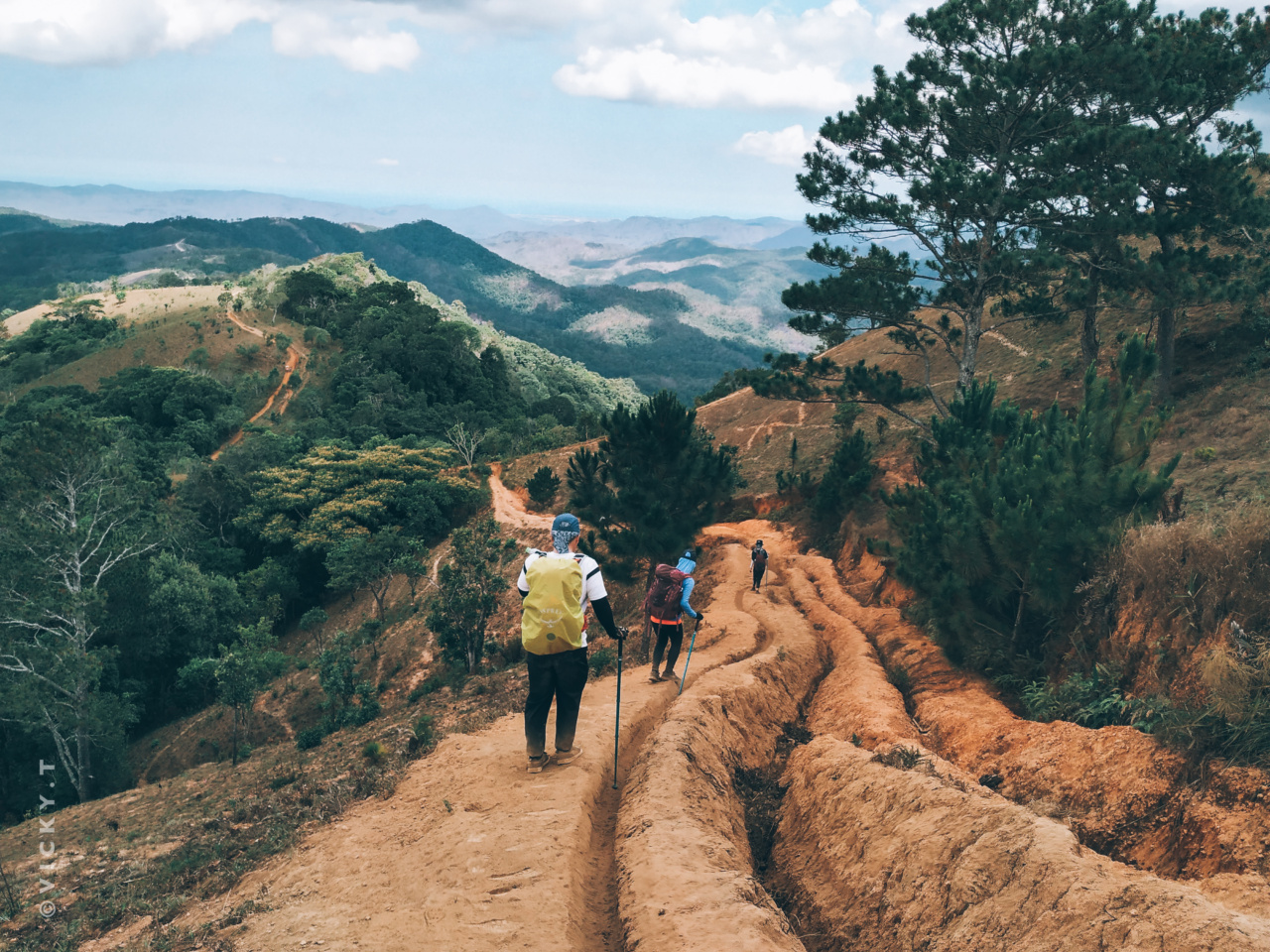 Escape stress by taking a walk in nature