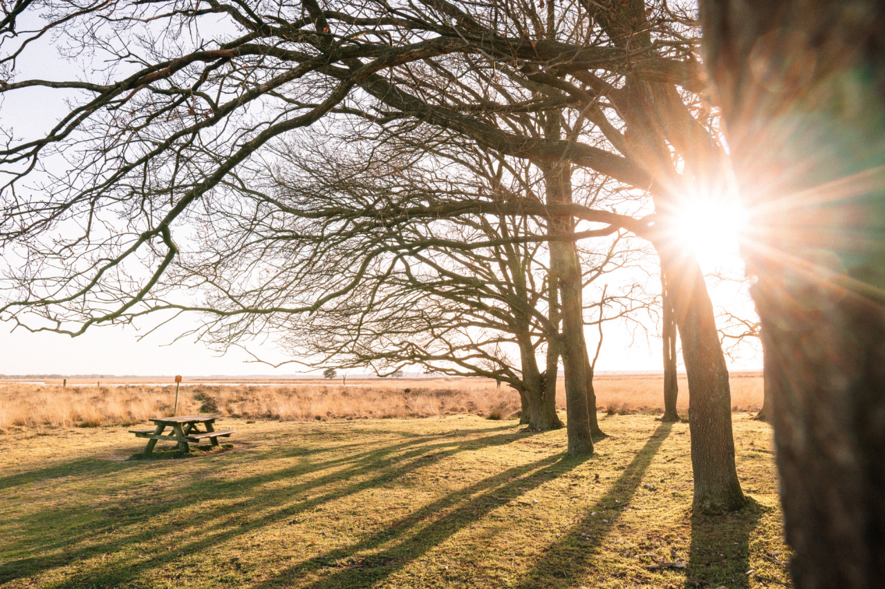 Why bright sunlight can be damaging to our mood