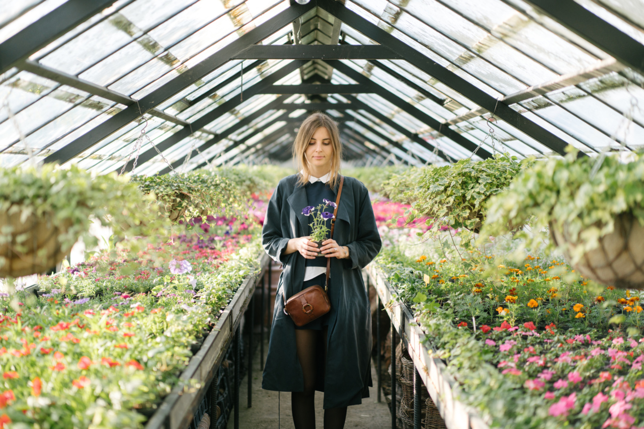 The natural solution to shinier hair: indoor plants