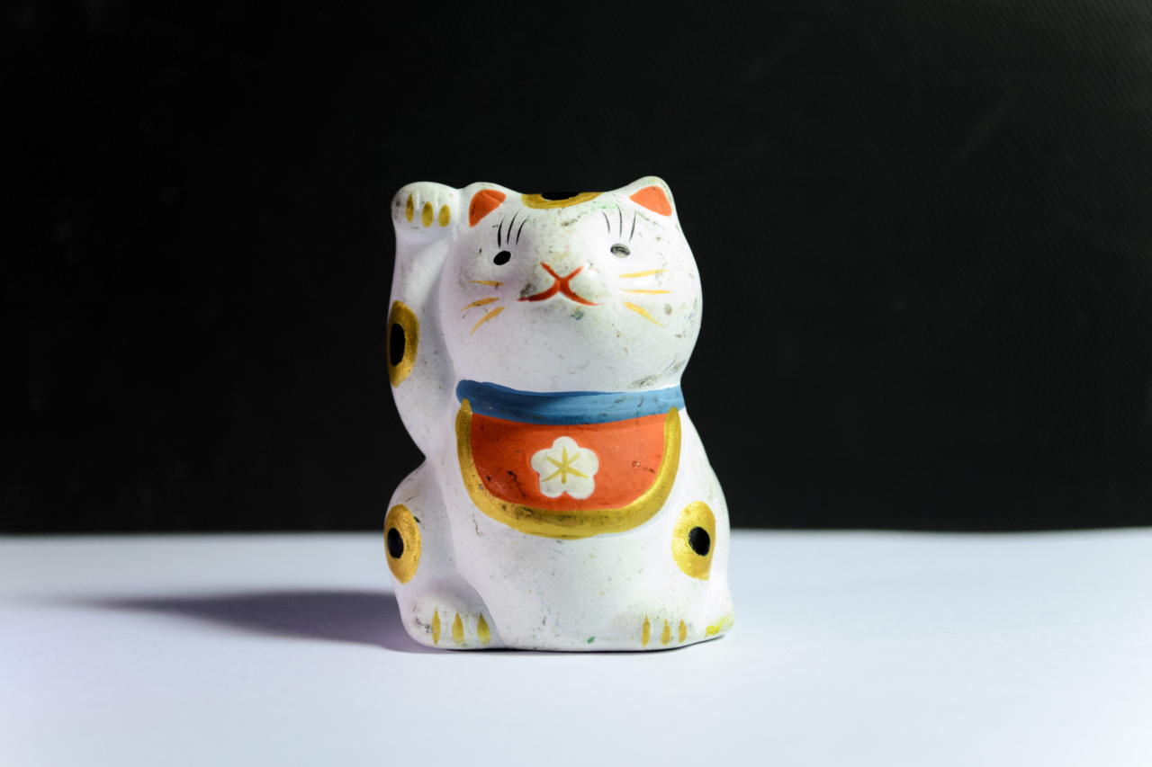 The Charm of Cat Ownership