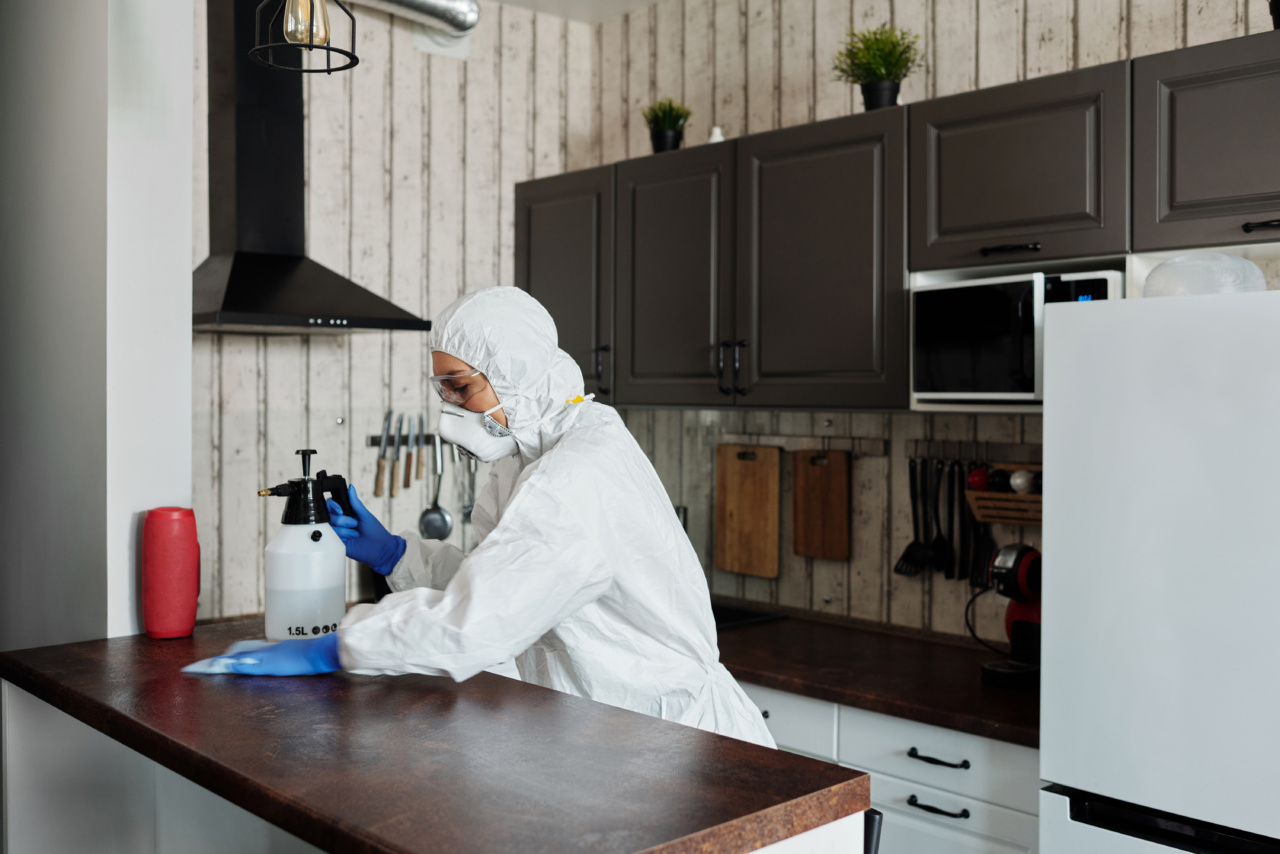 The Biggest Kitchen Infections