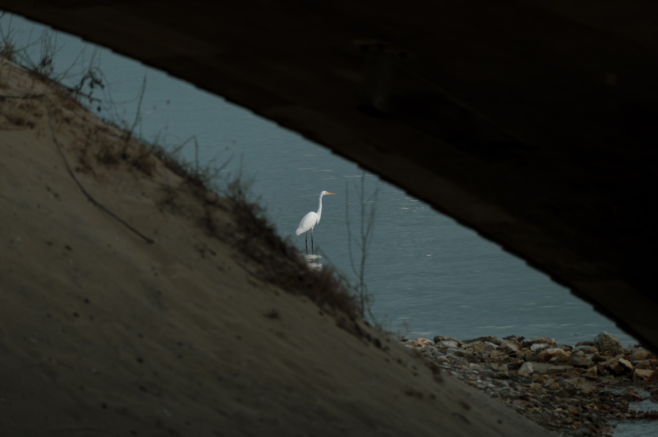 The 4 most harmful germs lurking in the sand and water