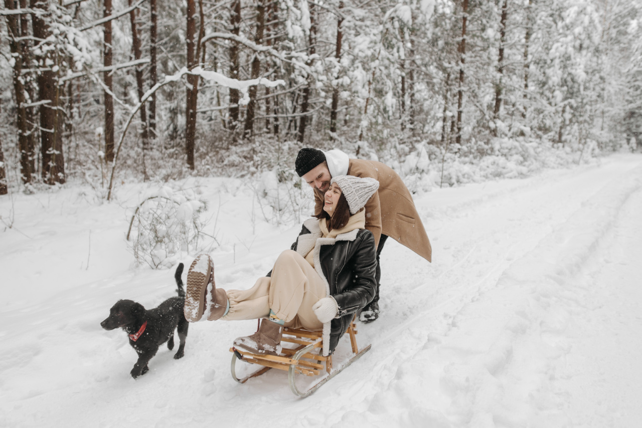 Are you unintentionally pushing your dog away?