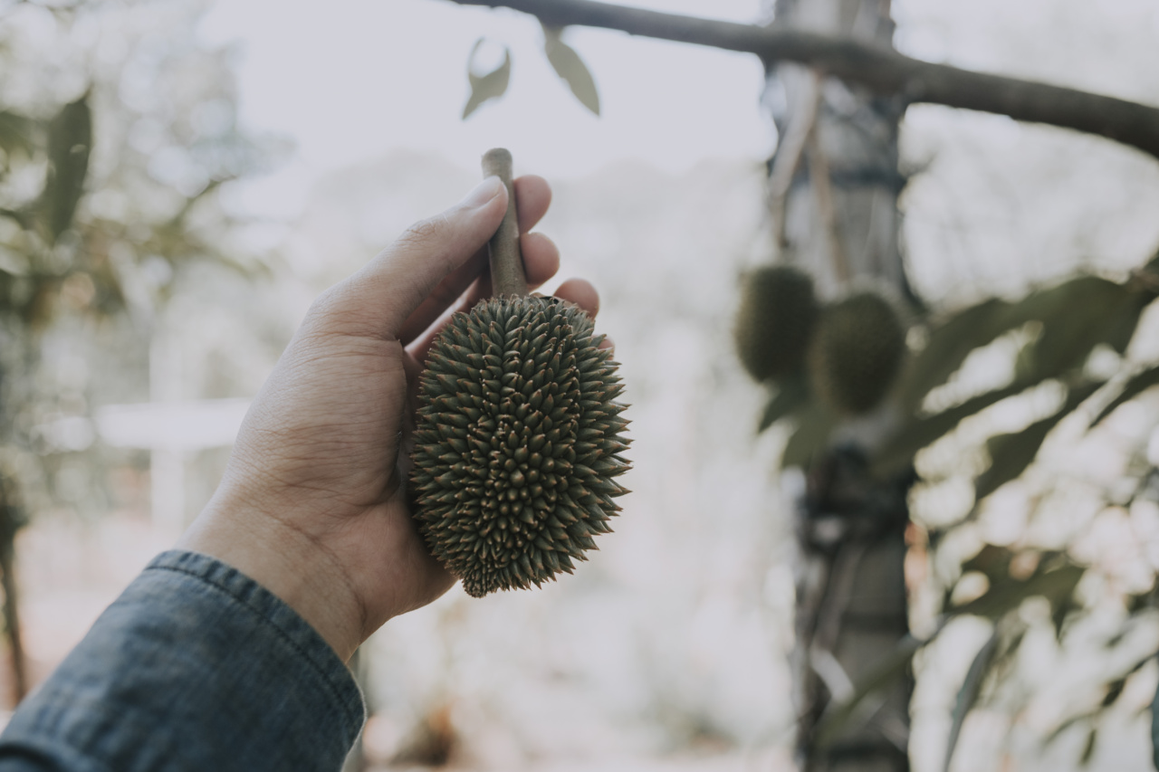 7 foods which can modify your body’s smell