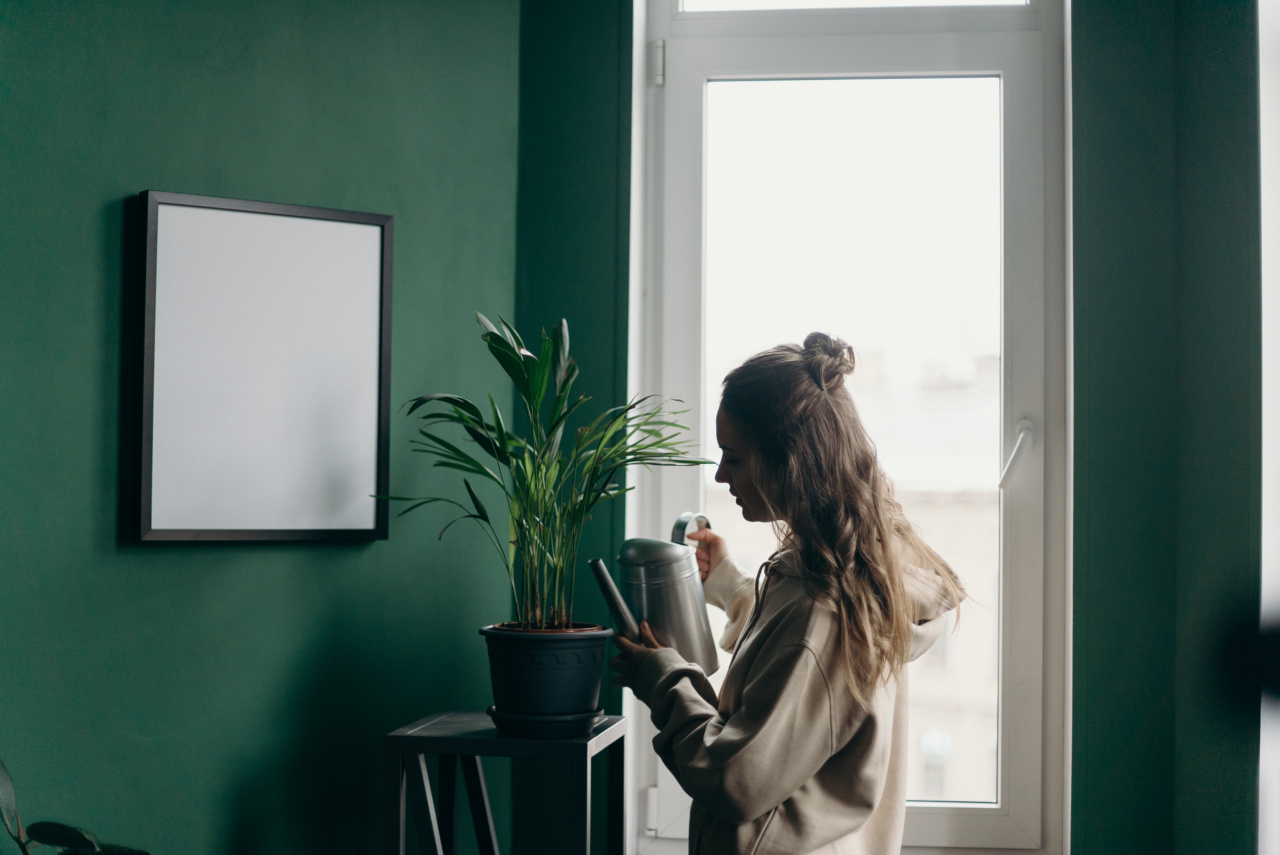 Insights and Recommendations on Dyeing Your Hair at Home