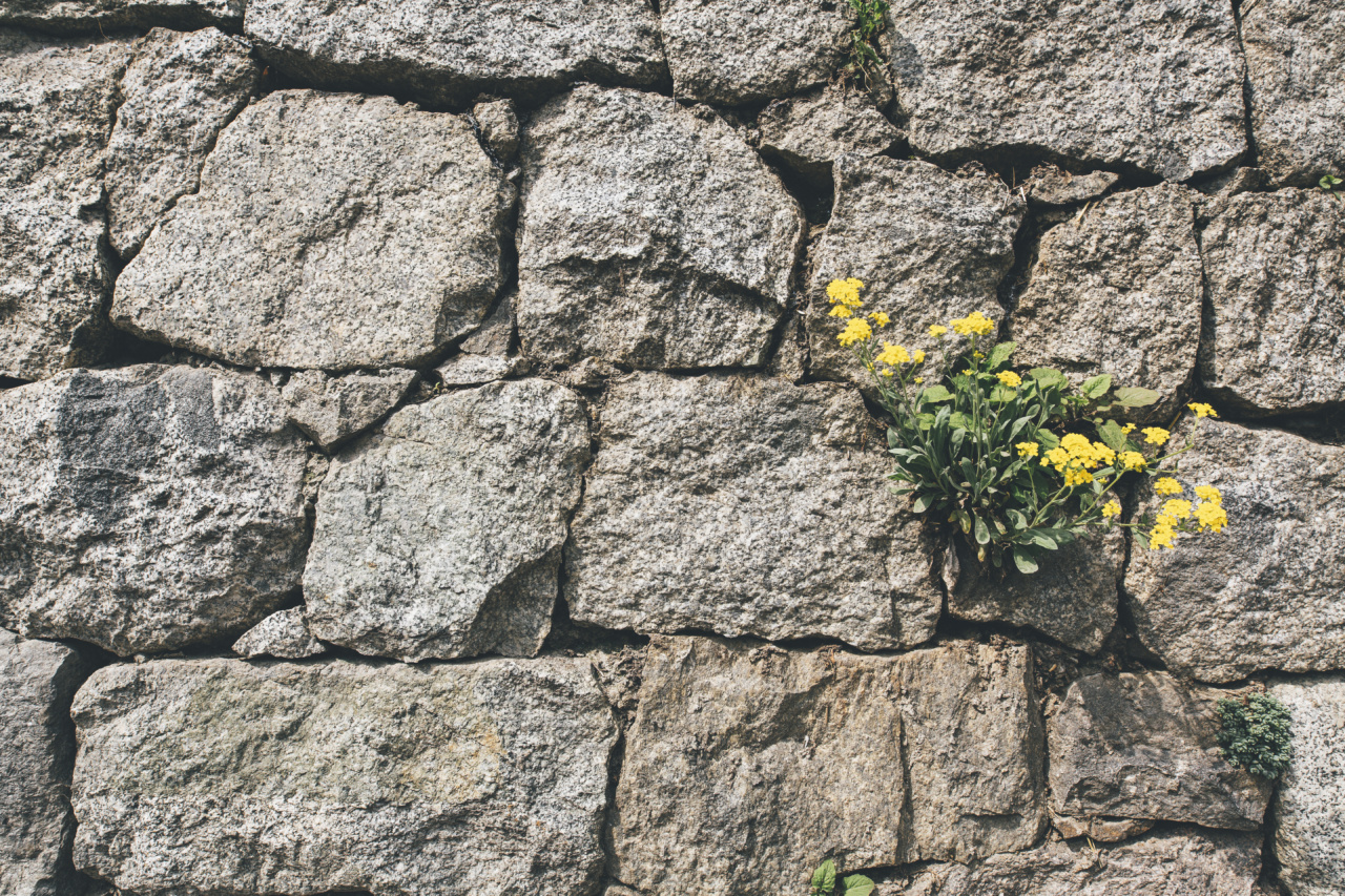 Seasonal Stones: Understanding the Summer Kidney Stone Connection