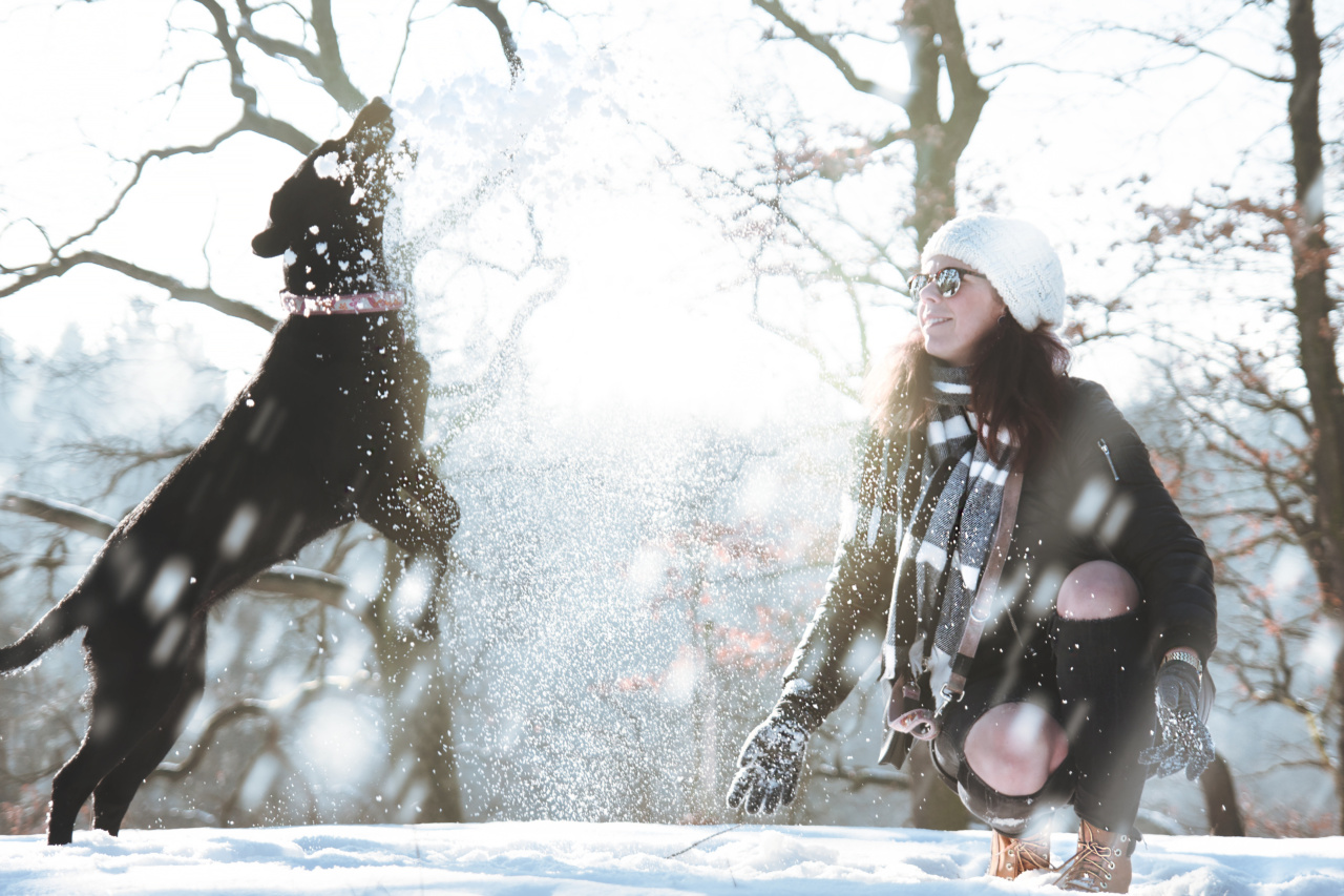 Frosty delight: The joy of sex in winter