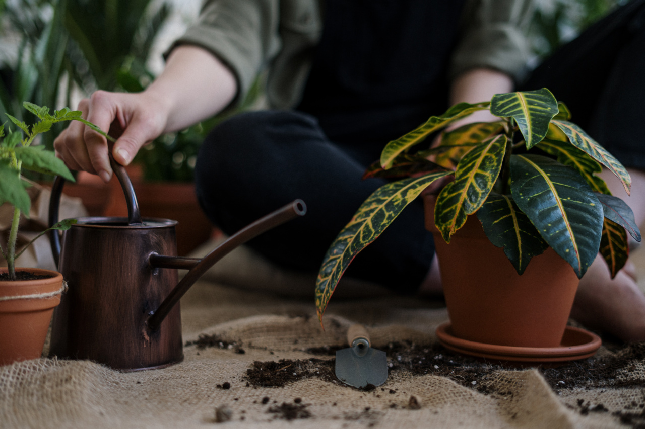 Herbs that can improve your digestion and beat bloating