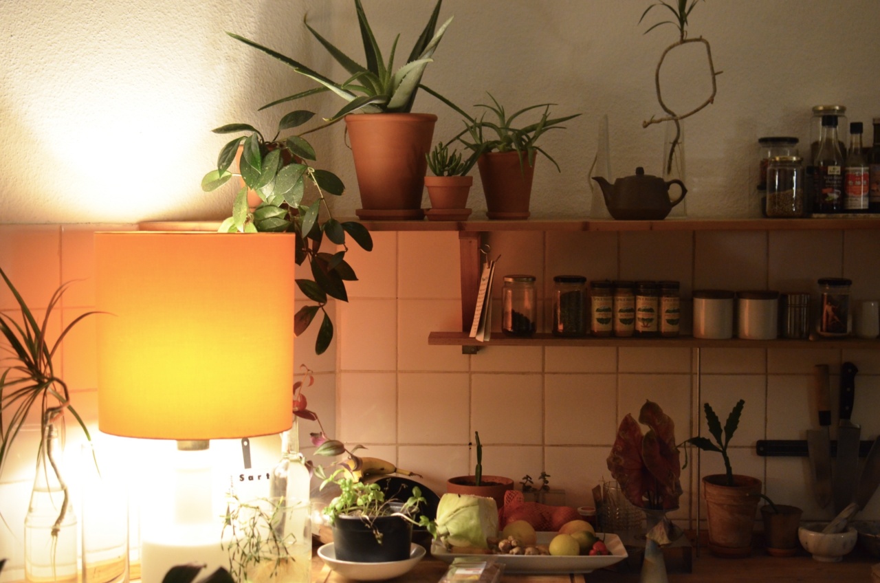 Five reasons to be cautious with aloe products