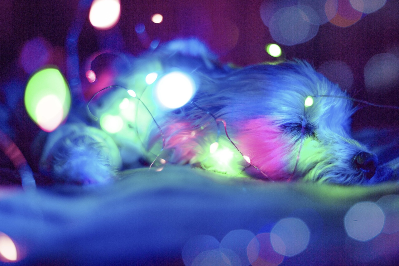 The Dangers of Sleeping with the Lights On