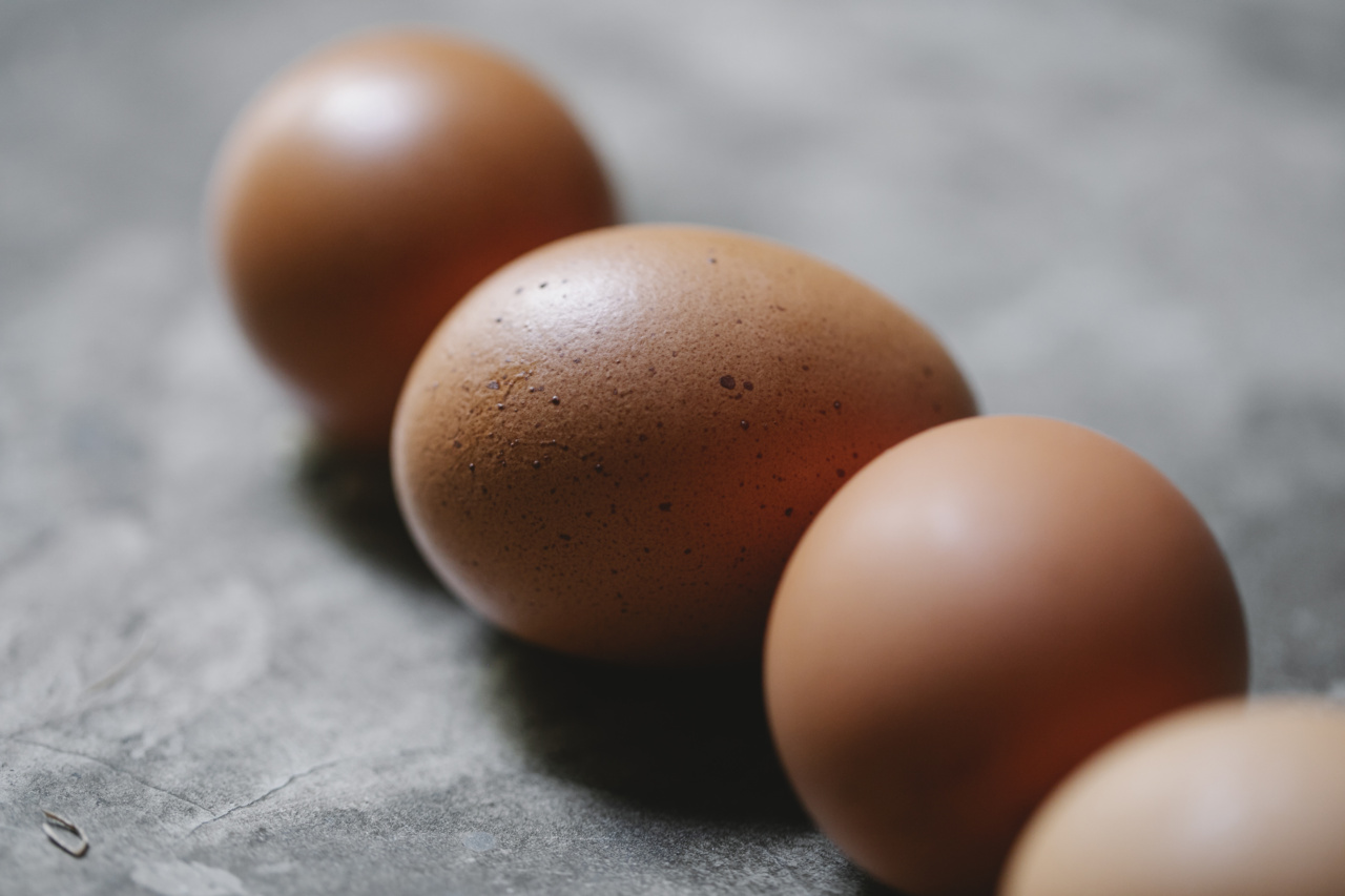 Nutrition Face-Off: Animal vs. Plant-Based Protein