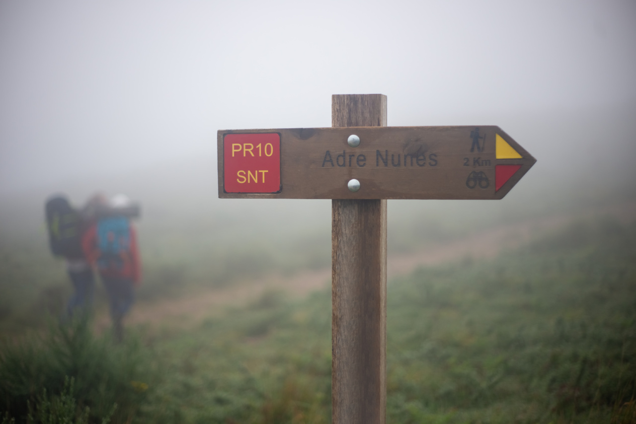 Research suggests slow walking may signal future dementia in seniors