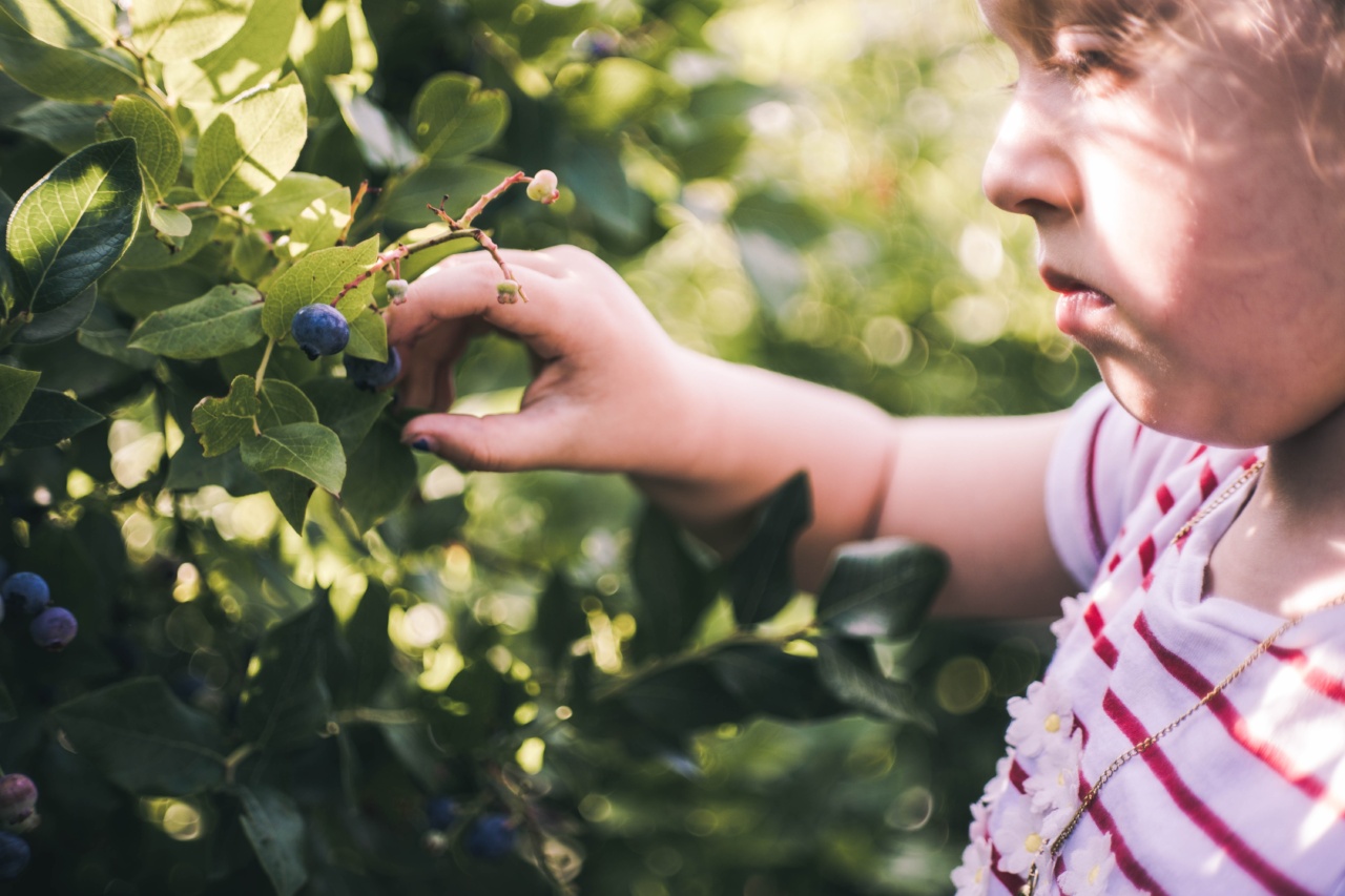 Blueberries boost focus in kids