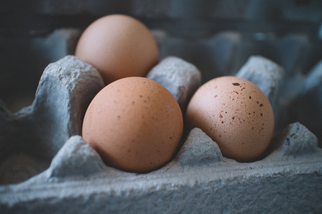 Eight meats with more protein than eggs