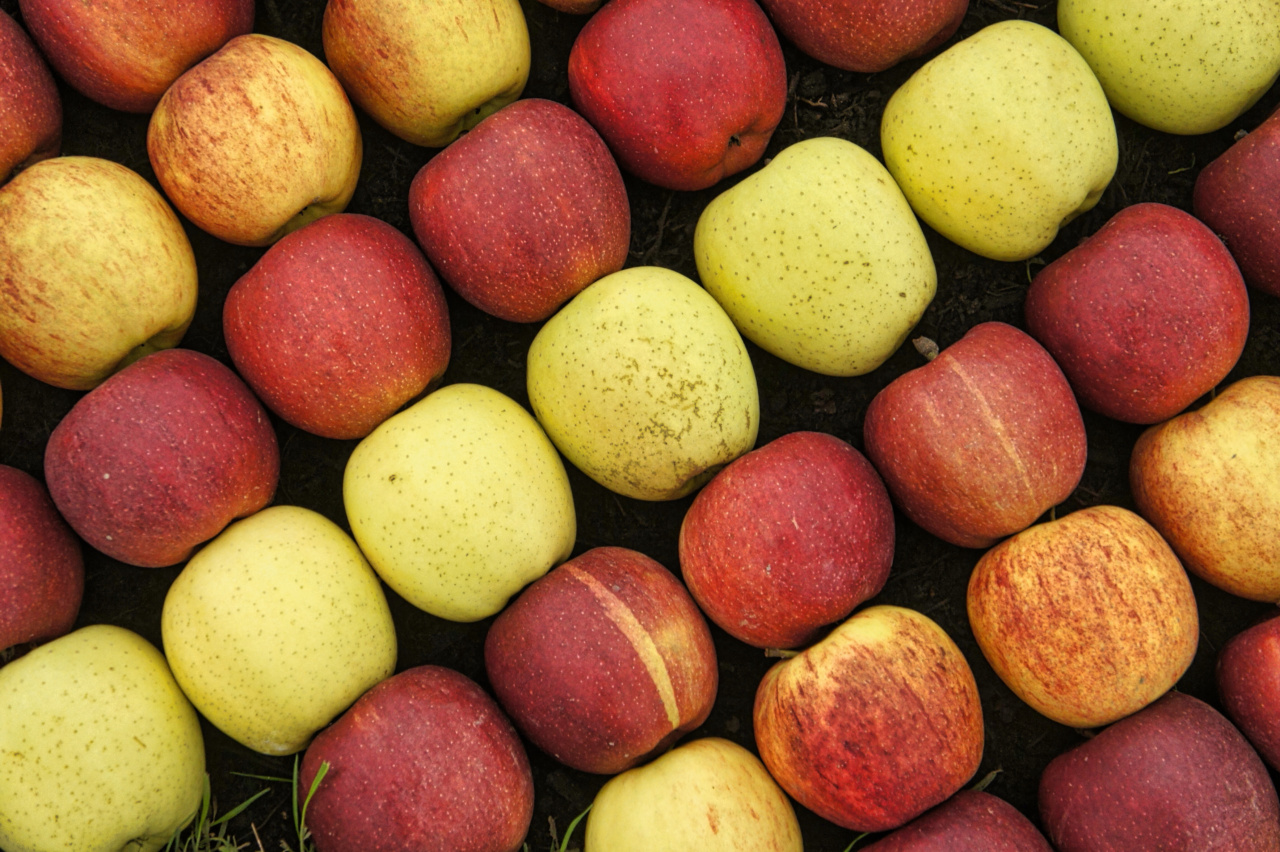 The Gum Savior Fruit