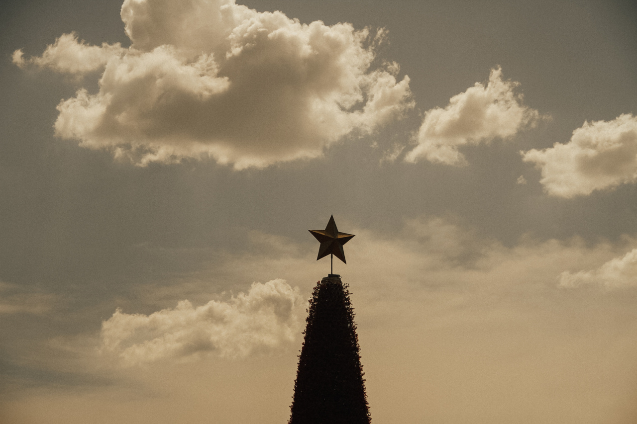 Flush the Festive Toxins: Detox Tips for Post-Christmas