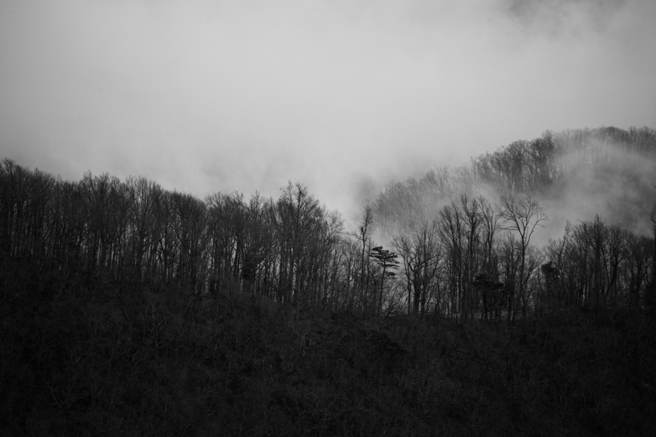 Gloomy Disposition